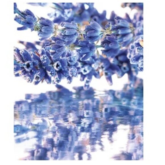 Guerlain Mon Guerlain Perfumed Body Lotion,BOXED-Floral Lavender,6.7oz,200ml-NEW - Picture 7 of 10